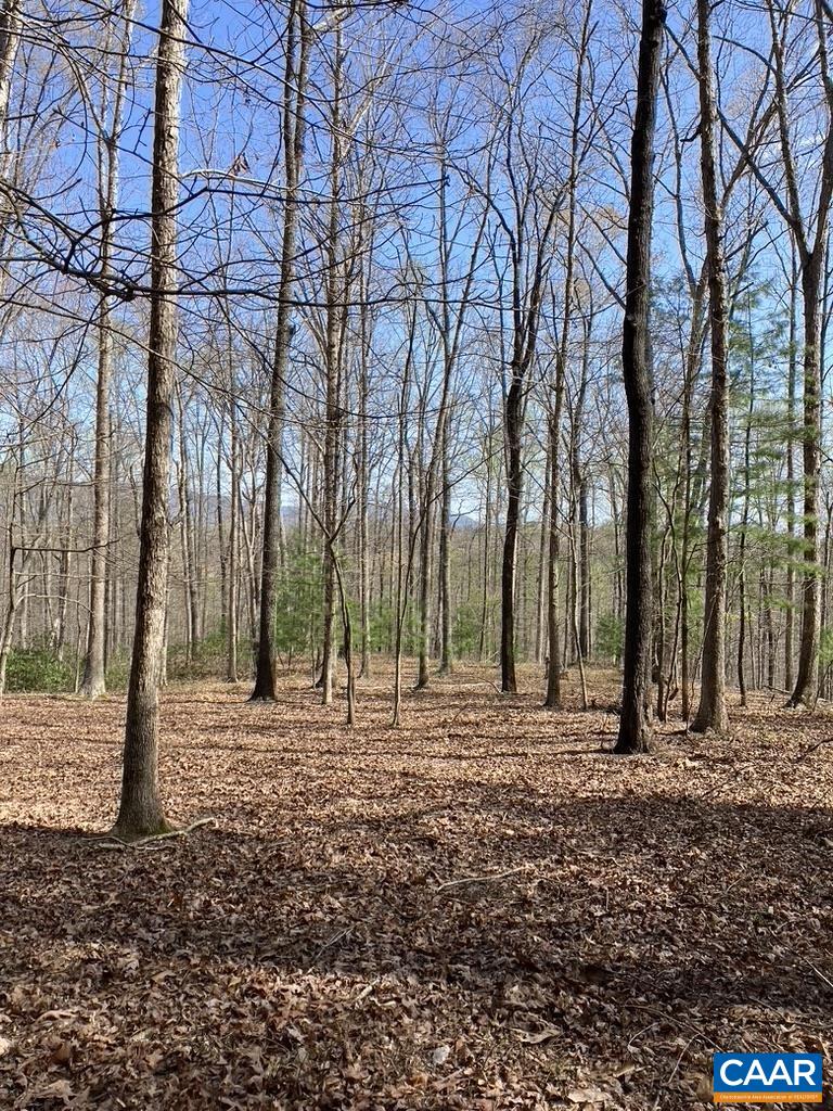 0 Batesville Road Afton, VA 22920 - Photo 7 of 12