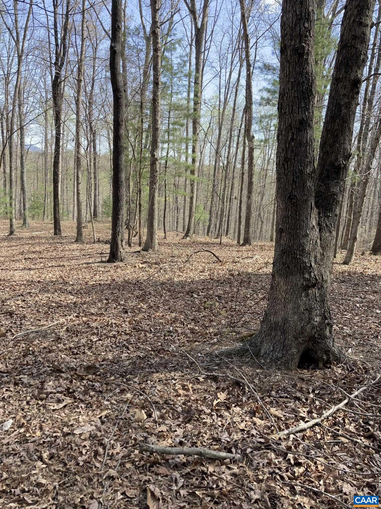 0 Batesville Road Afton, VA 22920 - Photo 8 of 12