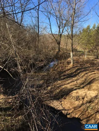 a view of a forest