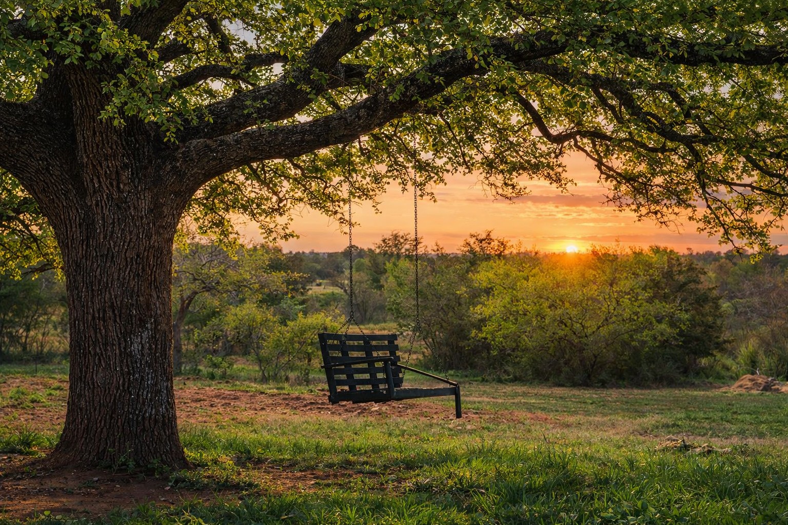 3410 West Ranch Road 152 Llano, TX 78643 - Photo 2 of 36 a view of a yard with a tree