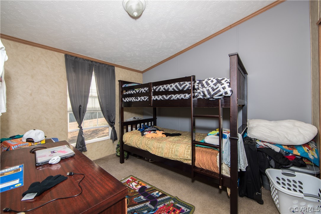 2282 Buckingham Springs Road Dillwyn, VA 23936 - Photo 19 of 25 Gallery Image 19