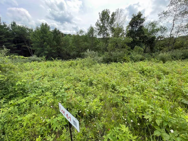 $10,000 | Lot 61 Staghorn La, La Valle, WI 53941