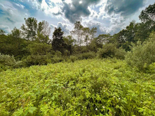 $10,000 | Lot 61 Staghorn La, La Valle, WI 53941