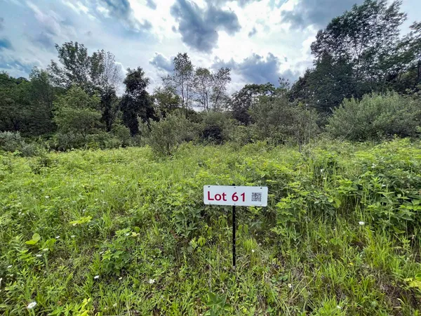 $10,000 | Lot 61 Staghorn La, La Valle, WI 53941
