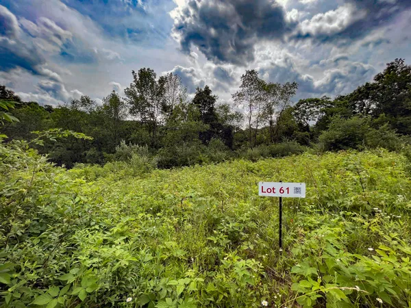 $10,000 | Lot 61 Staghorn La, La Valle, WI 53941