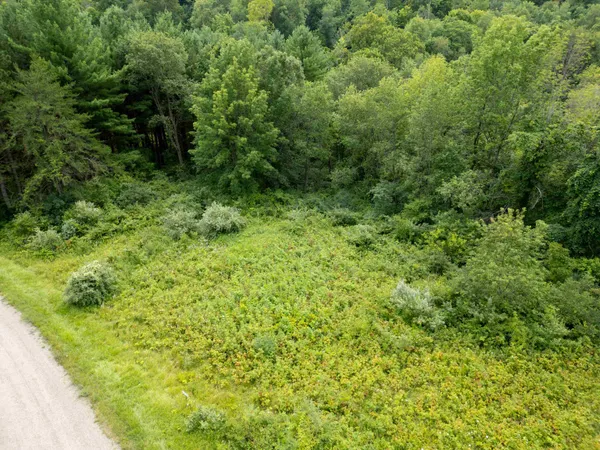 $10,000 | Lot 61 Staghorn La, La Valle, WI 53941