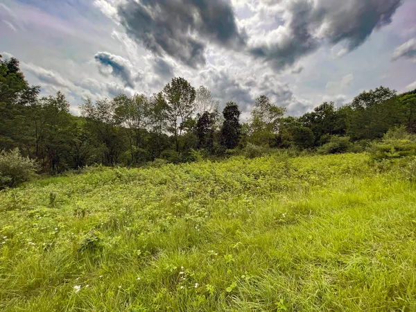 $10,000 | Lot 61 Staghorn La, La Valle, WI 53941