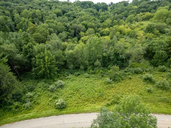 $10,000 | Lot 61 Staghorn La, La Valle, WI 53941