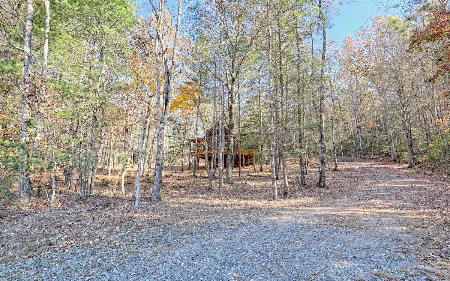 955 Ritchie Creek Road Blue Ridge, GA 30513 - Photo 3 of 62 a view of house with trees in the background