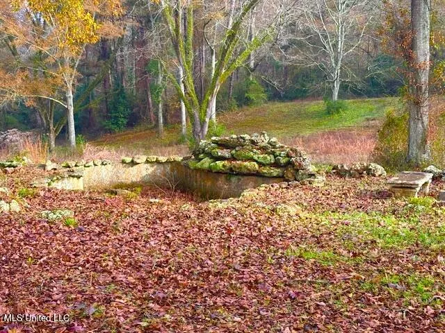 $350,000 | 1523 Magnolia Avenue, Tylertown, MS 39667