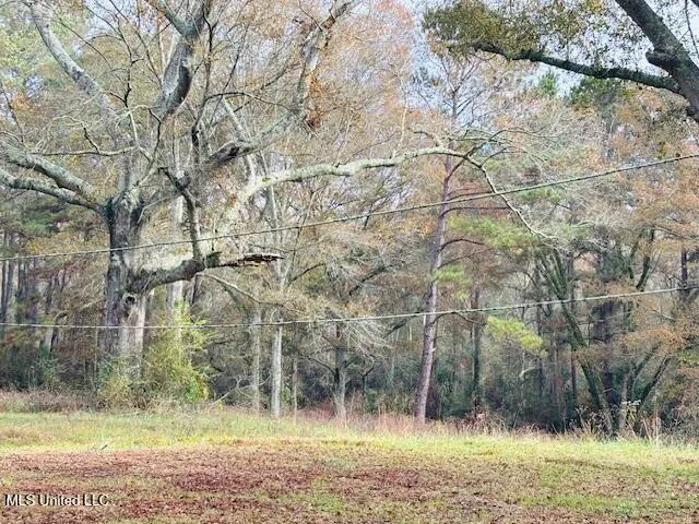 $350,000 | 1523 Magnolia Avenue, Tylertown, MS 39667