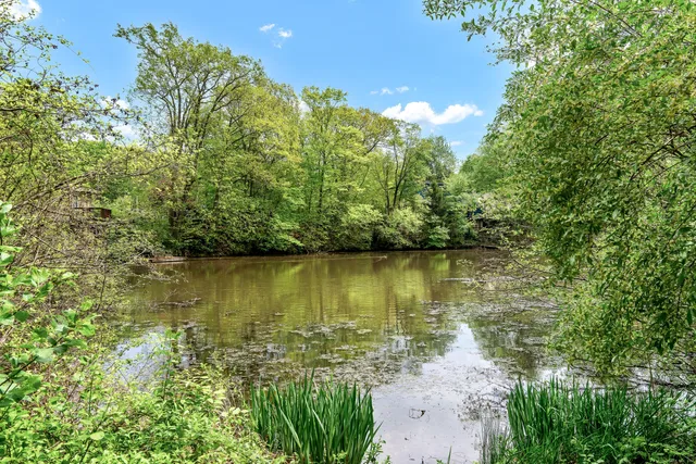 a view of a lake with a yard