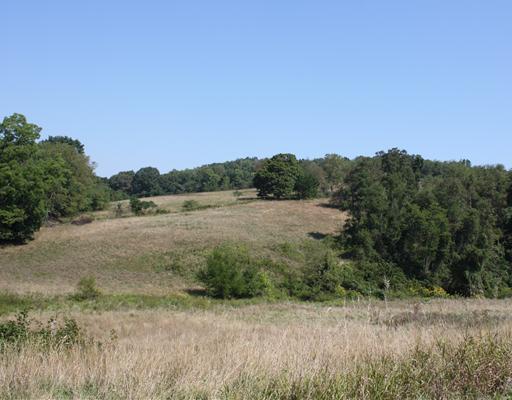 Land. 