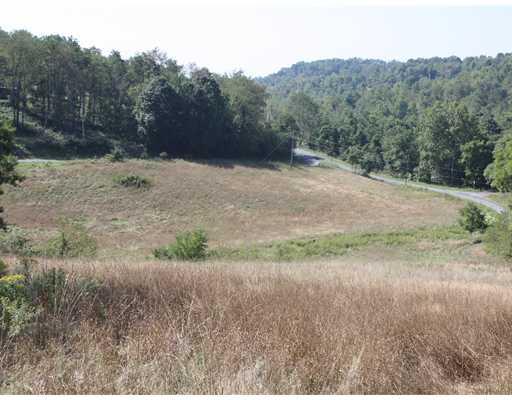 505 Craig Run Road Waynesburg, PA 15370 - Photo 11 of 12 Land. view