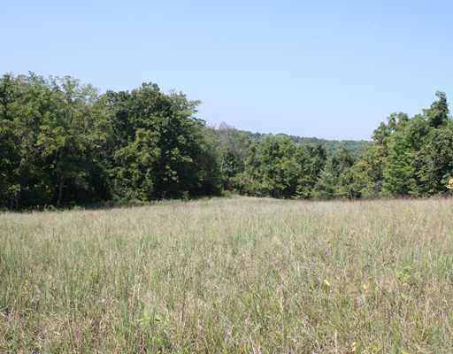505 Craig Run Road Waynesburg, PA 15370 - Photo 7 of 12 Land. Top Pasture,hay being cut Today...9-3-2010