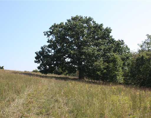 505 Craig Run Road Waynesburg, PA 15370 - Photo 8 of 12 Land. Veiws