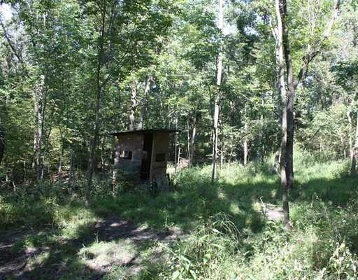 505 Craig Run Road Waynesburg, PA 15370 - Photo 10 of 12 Land. hunting shack beside spring.
