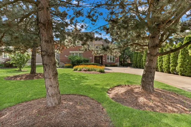 a view of a park with large trees
