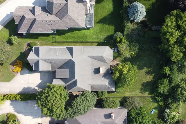 a view of a garden with plants