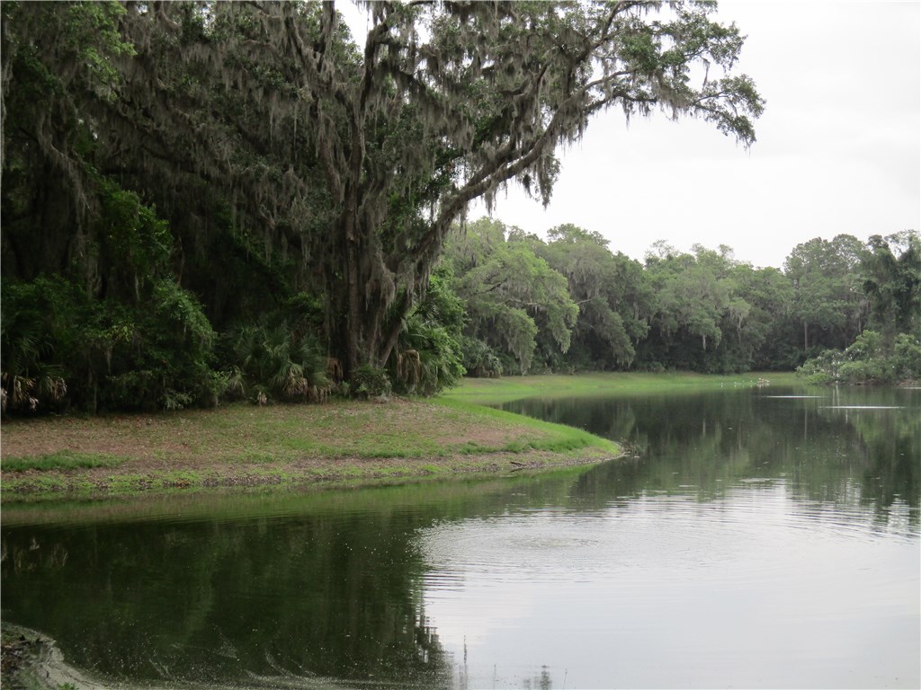 Shell Midden Lane Fernandina Beach, FL 32034 - Photo 3 of 6 Gallery Image 3