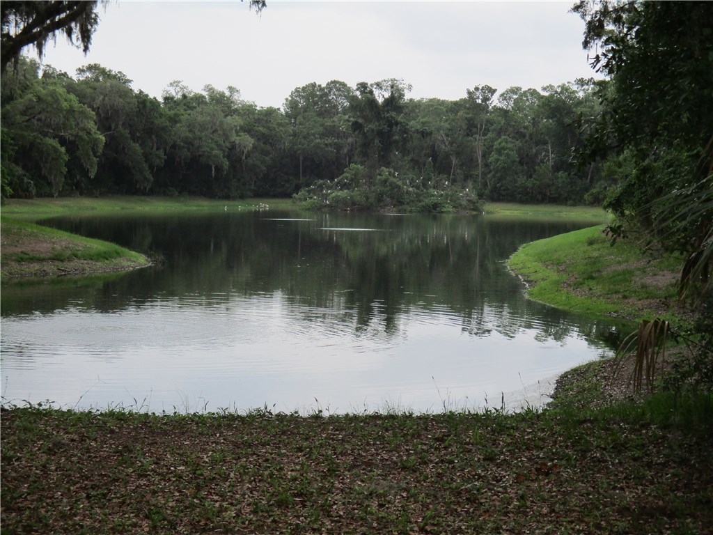 Shell Midden Lane Fernandina Beach, FL 32034 - Photo 5 of 6 Gallery Image 5