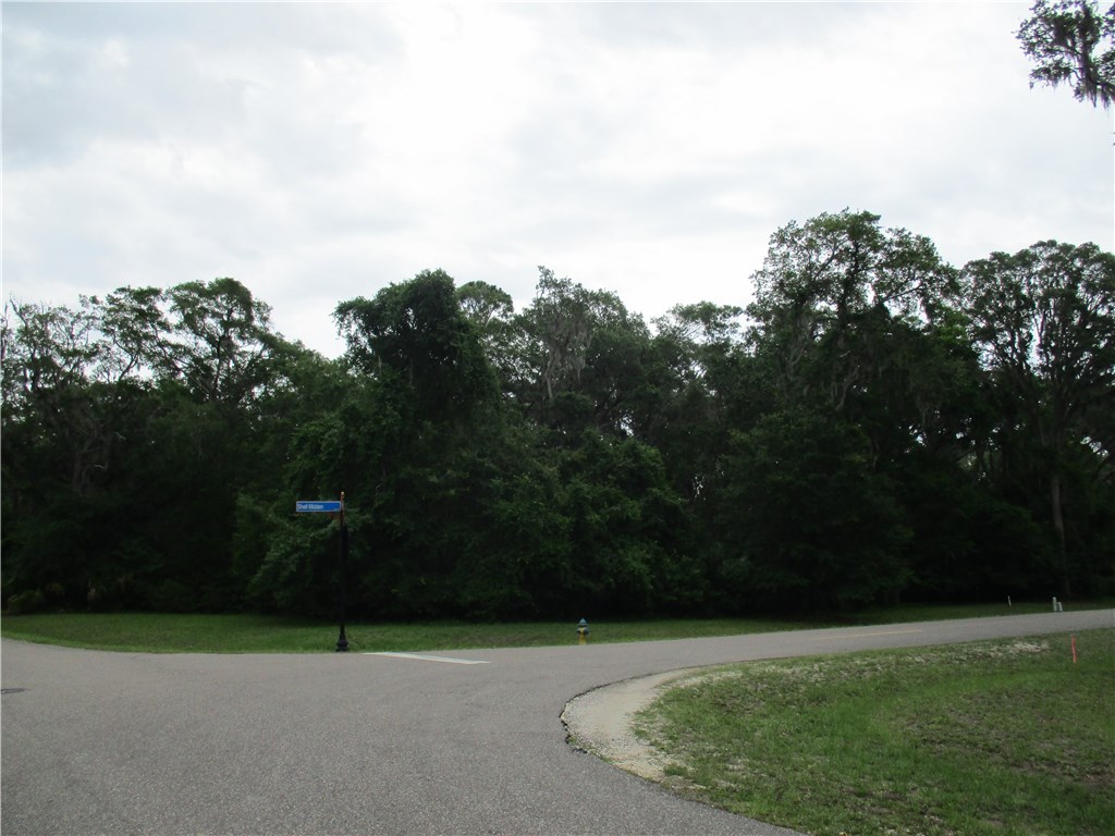 Shell Midden Lane Fernandina Beach, FL 32034 - Photo 6 of 6 Gallery Image 6