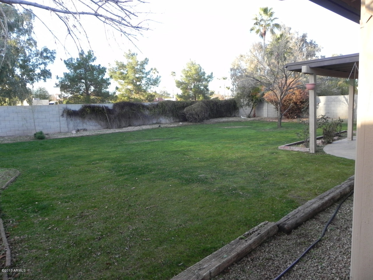 2514 East John Cabot Road Phoenix, AZ 85032 - Photo 14 of 16 DSCN1665