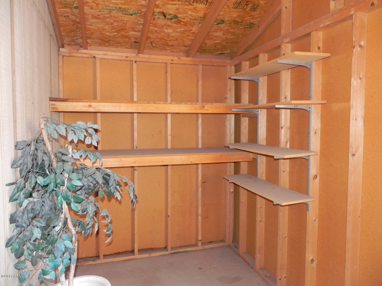 2514 East John Cabot Road Phoenix, AZ 85032 - Photo 9 of 16 DSCN1650