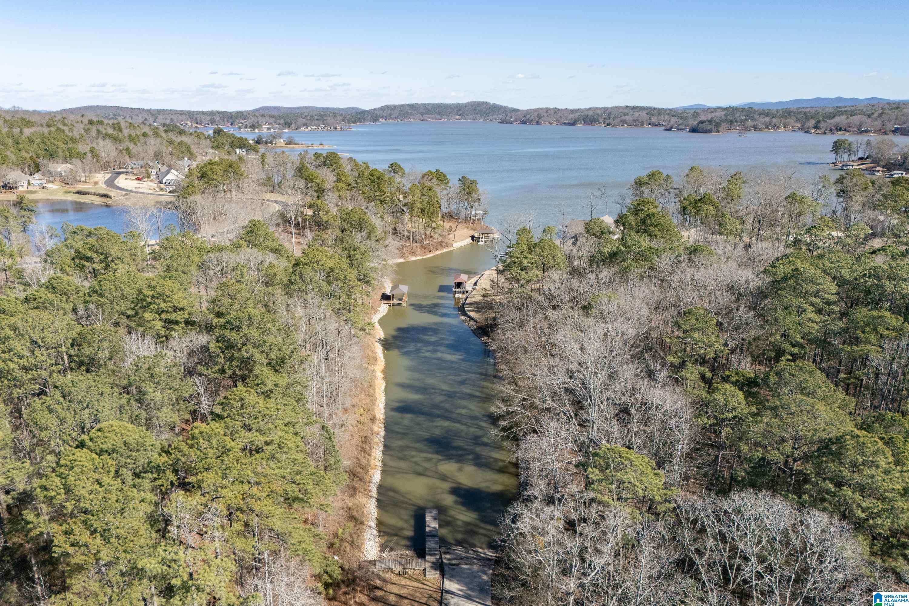 100 Coves Drive Vincent, AL 35178 - Photo 16 of 21