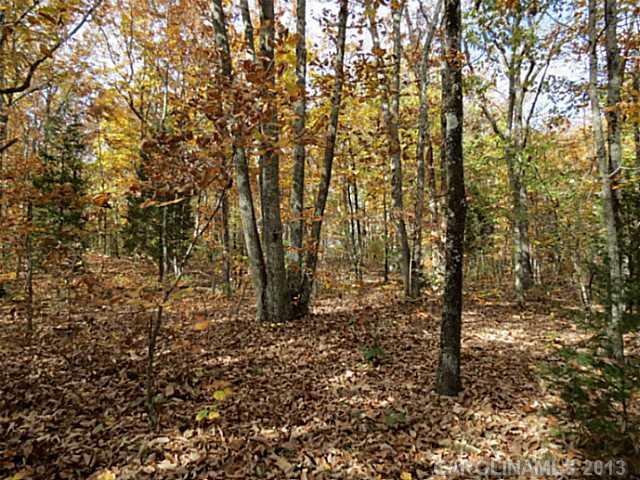 10-ac South Beersheba Road Clover, SC 29710 - Photo 1 of 15 a view of a yard with trees