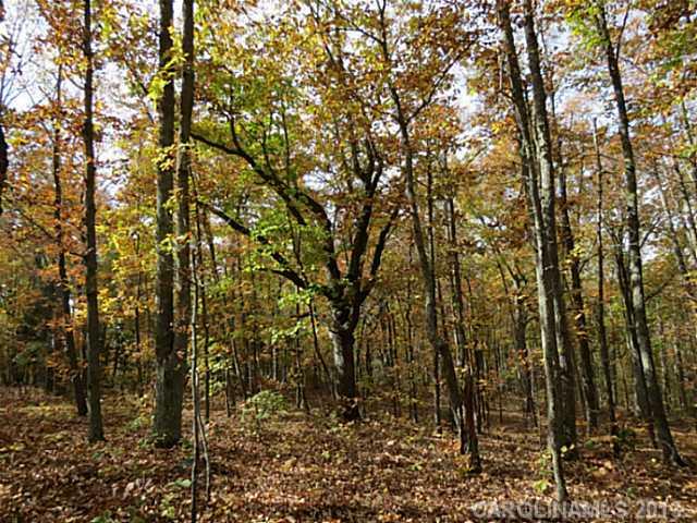 10-ac South Beersheba Road Clover, SC 29710 - Photo 14 of 15 a view of a yard