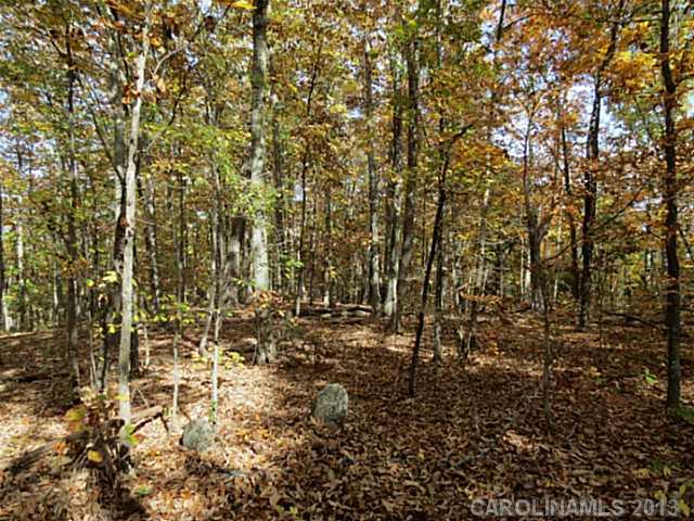 10-ac South Beersheba Road Clover, SC 29710 - Photo 15 of 15 a view of a yard