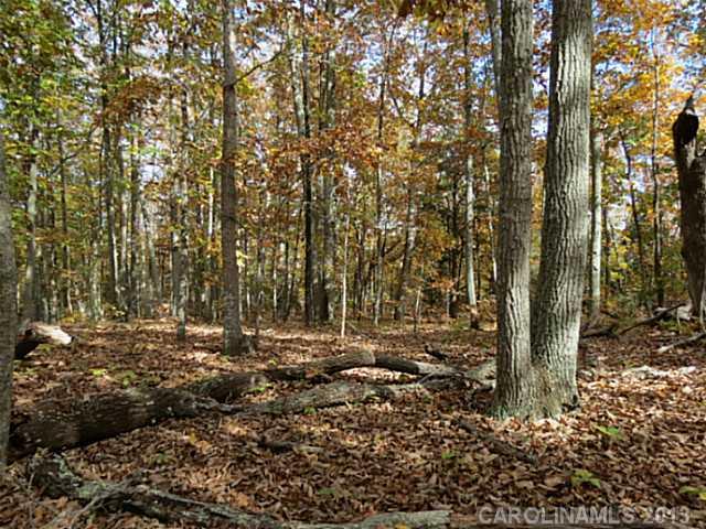 10-ac South Beersheba Road Clover, SC 29710 - Photo 5 of 15 a view of outdoor space with lots of trees