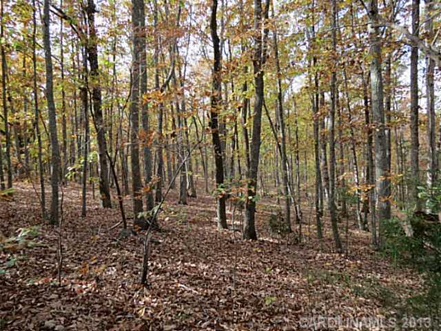 10-ac South Beersheba Road Clover, SC 29710 - Photo 7 of 15 a backyard of a house with lots of trees