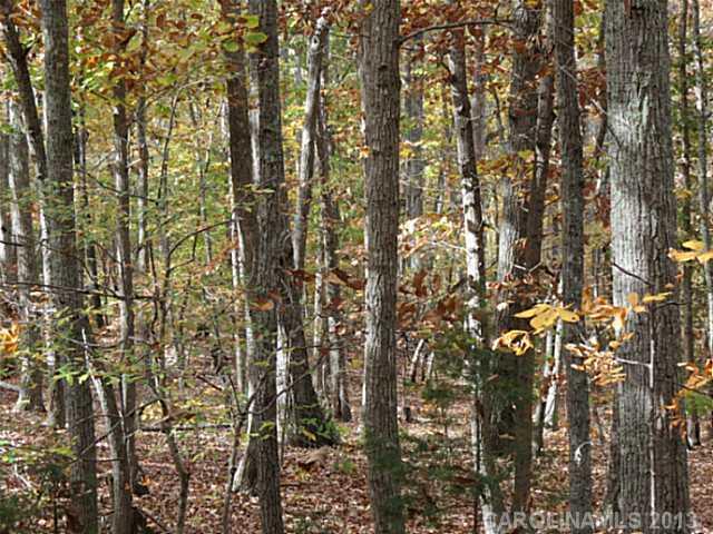 10-ac South Beersheba Road Clover, SC 29710 - Photo 8 of 15