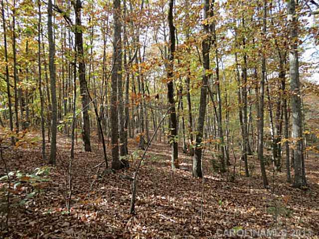 10-ac South Beersheba Road Clover, SC 29710 - Photo 10 of 15 a view of outdoor space with deck