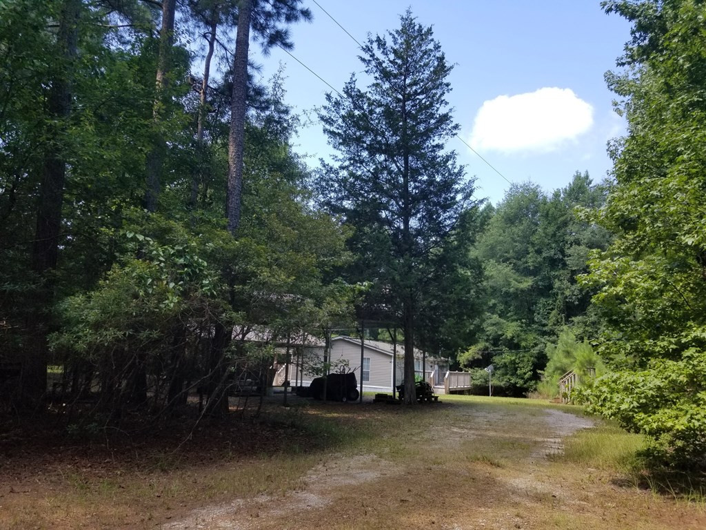 4645 Chamberlain S Ferry Road Lincolnton, GA 30817 - Photo 23 of 26