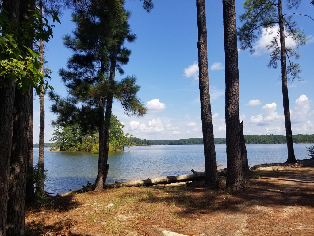 4645 Chamberlain S Ferry Road Lincolnton, GA 30817 - Photo 24 of 26