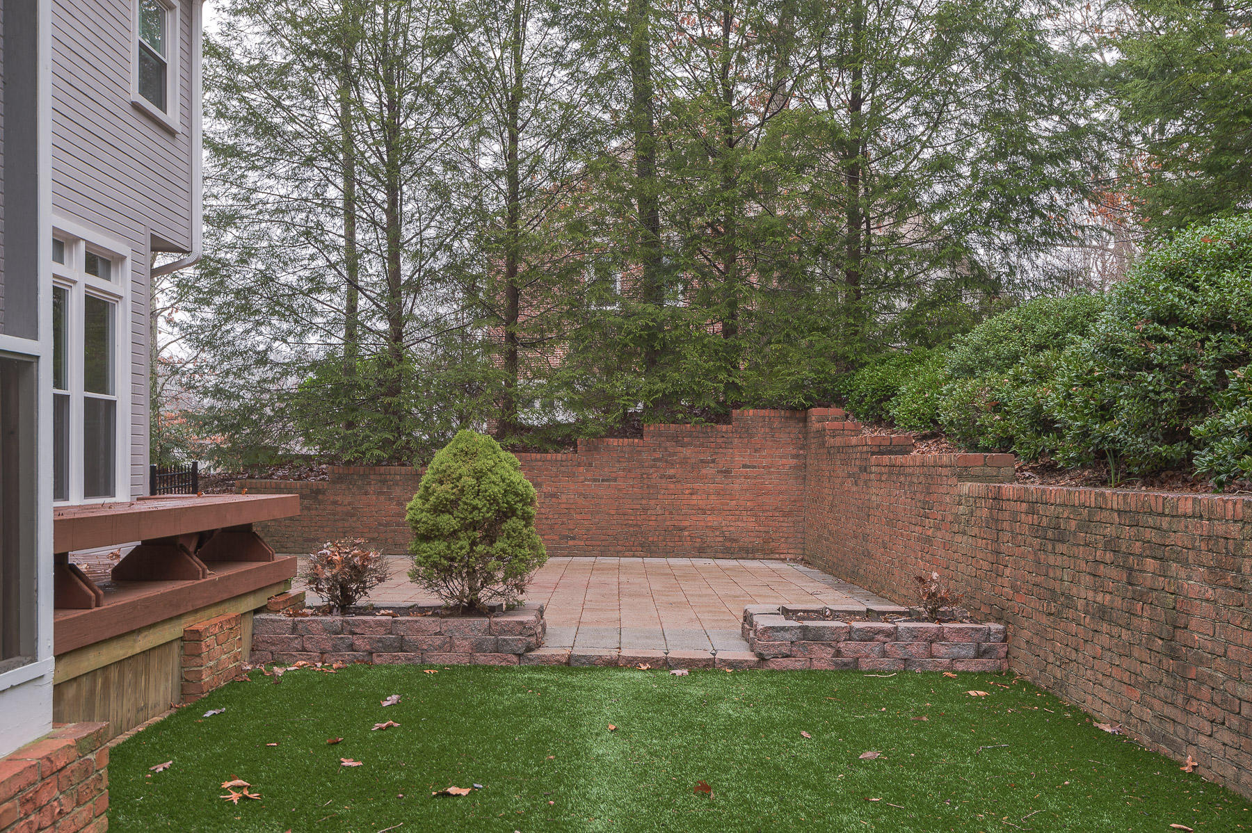 55 Cool Spring Road Signal Mountain, TN 37377 - Photo 27 of 29 Back Yard