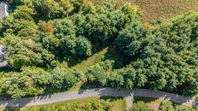 $22,500 | Lot 15 Executive Drive, Big Rapids, MI 49307