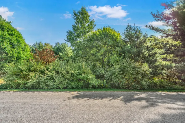 $22,500 | Lot 15 Executive Drive, Big Rapids, MI 49307