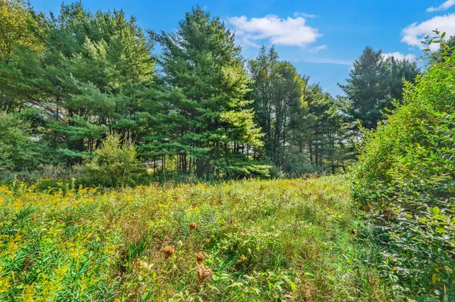 $22,500 | Lot 15 Executive Drive, Big Rapids, MI 49307