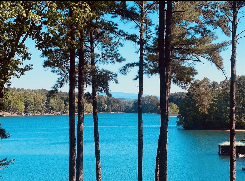 610 Highridge Drive Seneca, SC 29672 - Photo 3 of 50 This tranquil waterfront home offers serene mountain and lake views and lush natural surroundings.