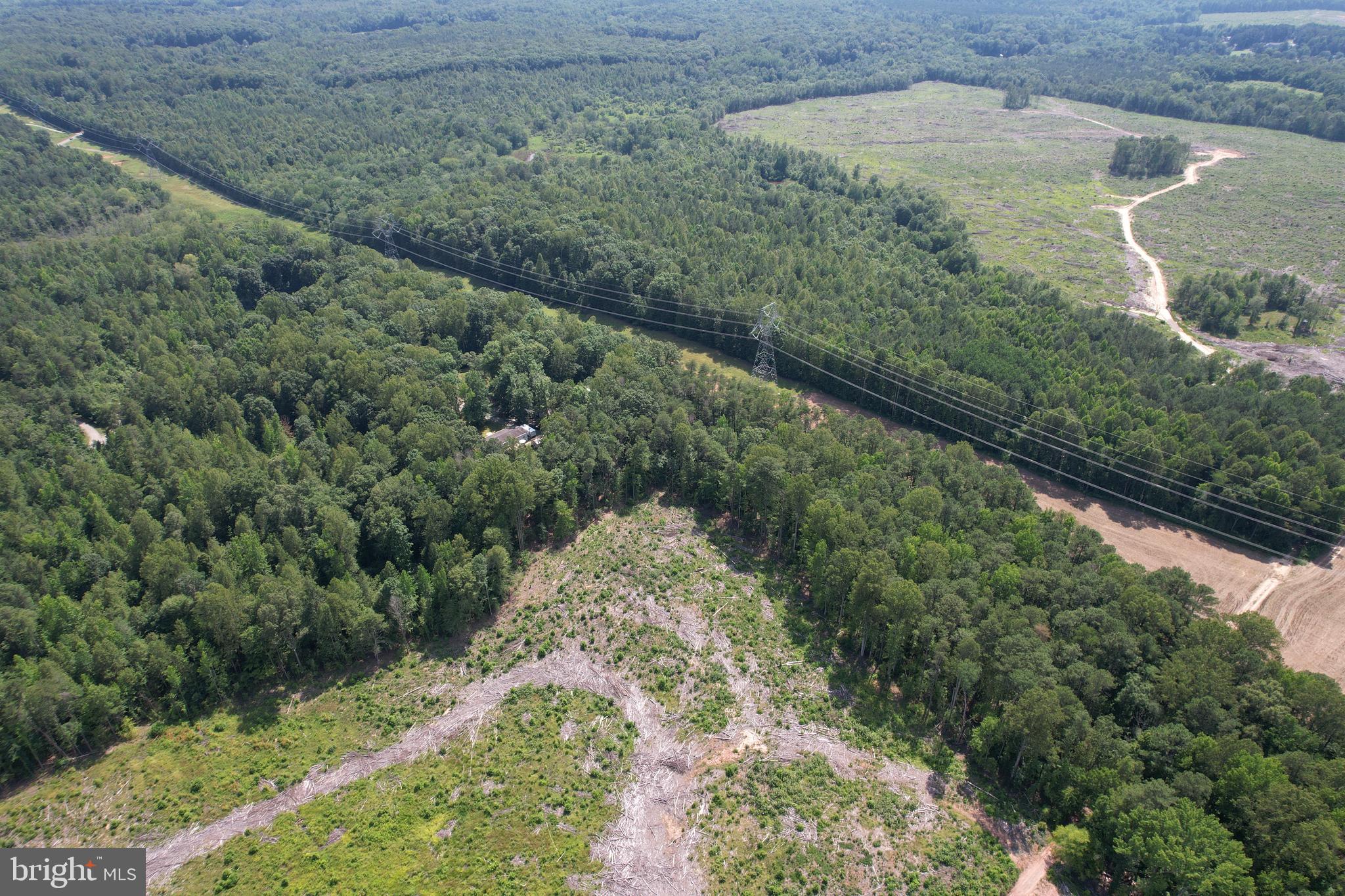 0 Countyline Church Road Woodford, VA 22580 - Photo 11 of 25 a view of a forest with a yard