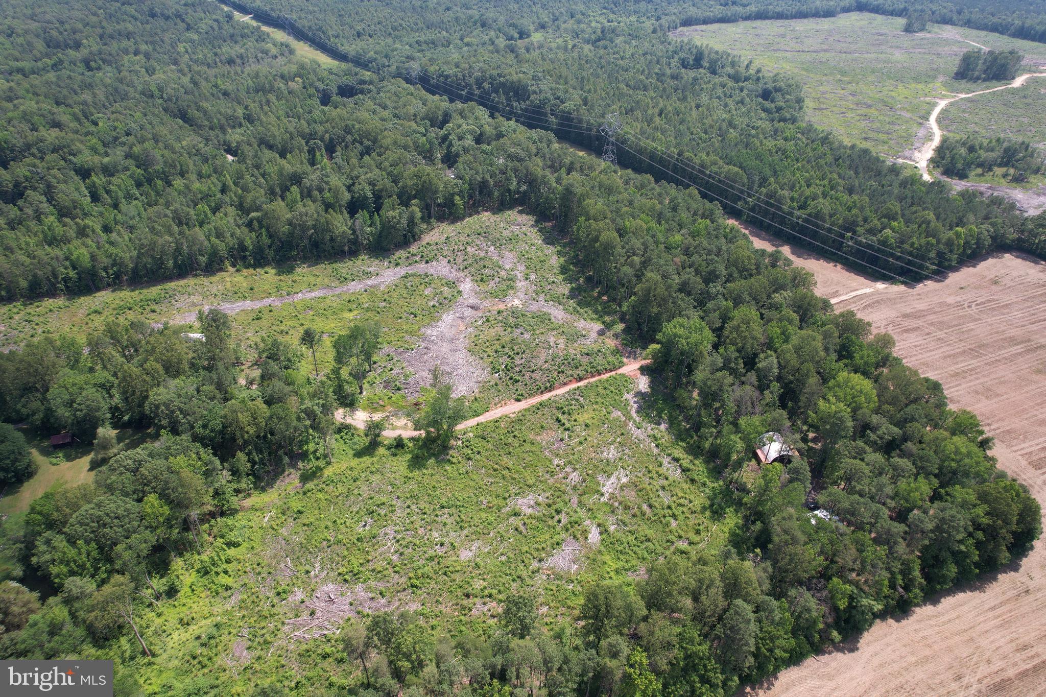 0 Countyline Church Road Woodford, VA 22580 - Photo 12 of 25 a view of a forest with a houses