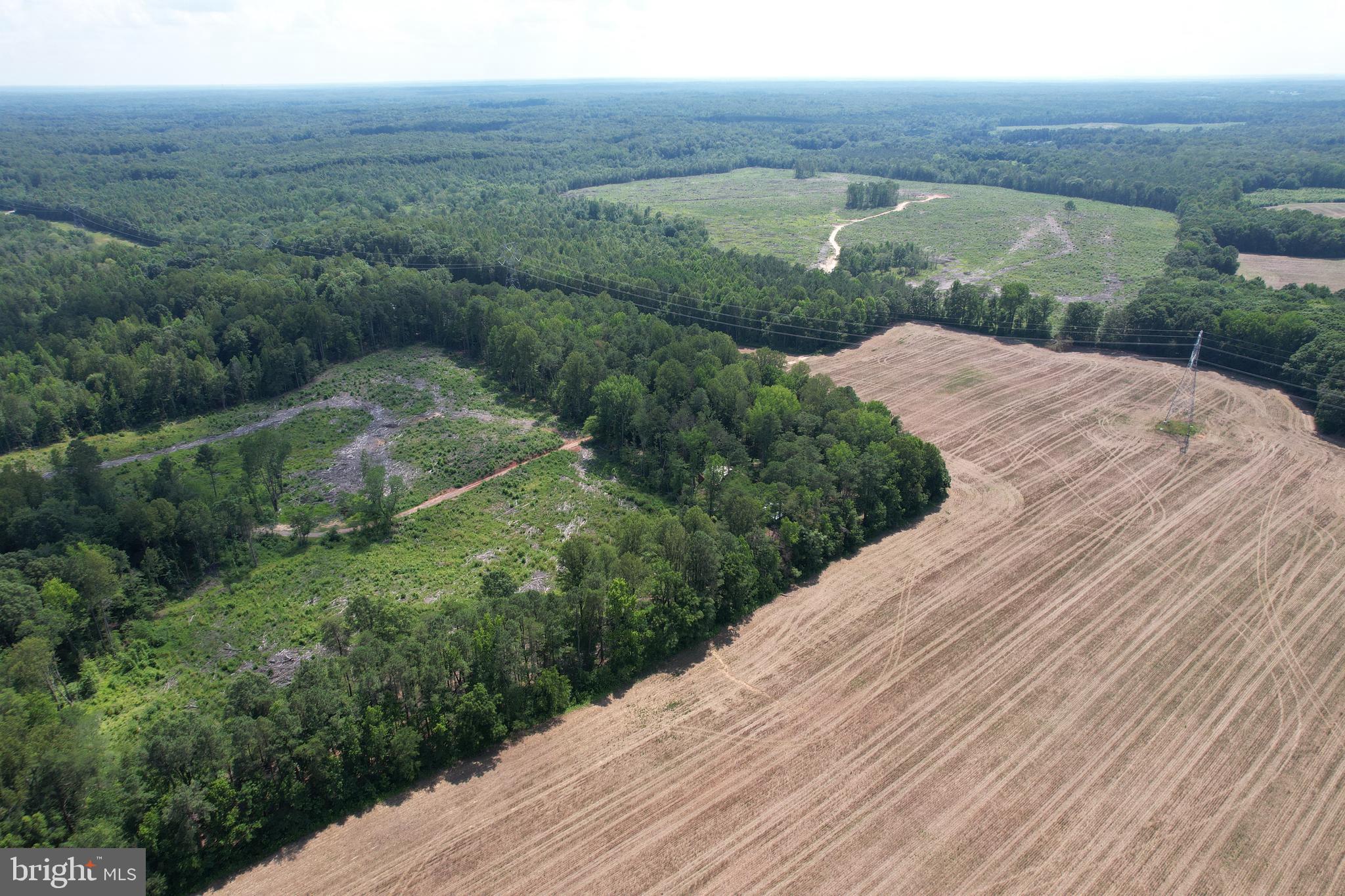 0 Countyline Church Road Woodford, VA 22580 - Photo 16 of 25 a view of a lake with a yard
