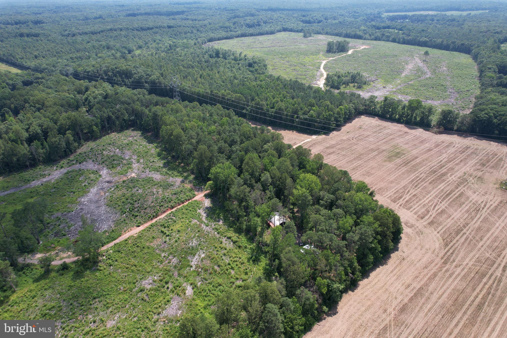 0 Countyline Church Road Woodford, VA 22580 - Photo 17 of 25 a view of a backyard