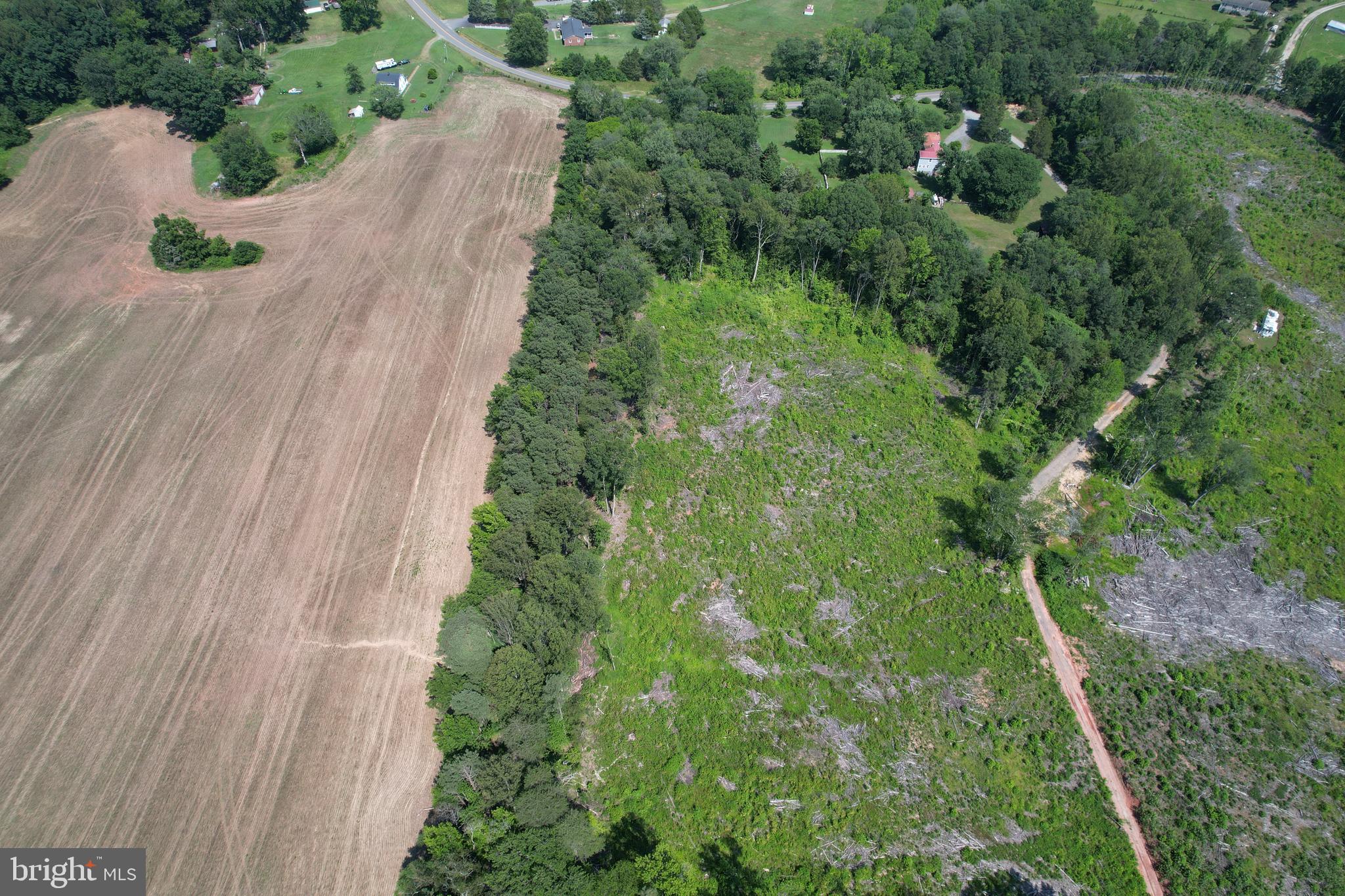 0 Countyline Church Road Woodford, VA 22580 - Photo 4 of 25 a view of a garden with a building