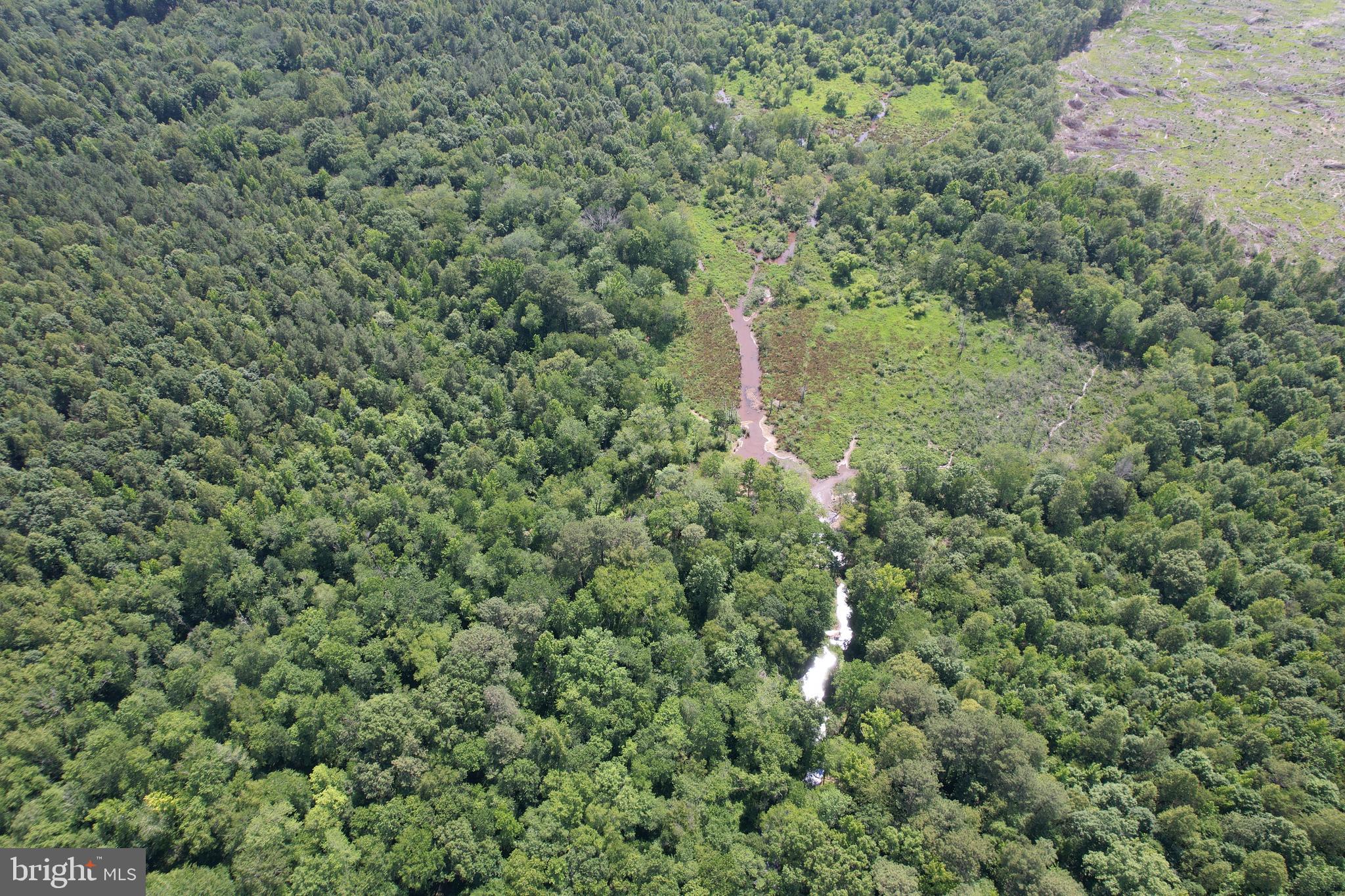 0 Countyline Church Road Woodford, VA 22580 - Photo 7 of 25 a view of a forest with a houses of a forest