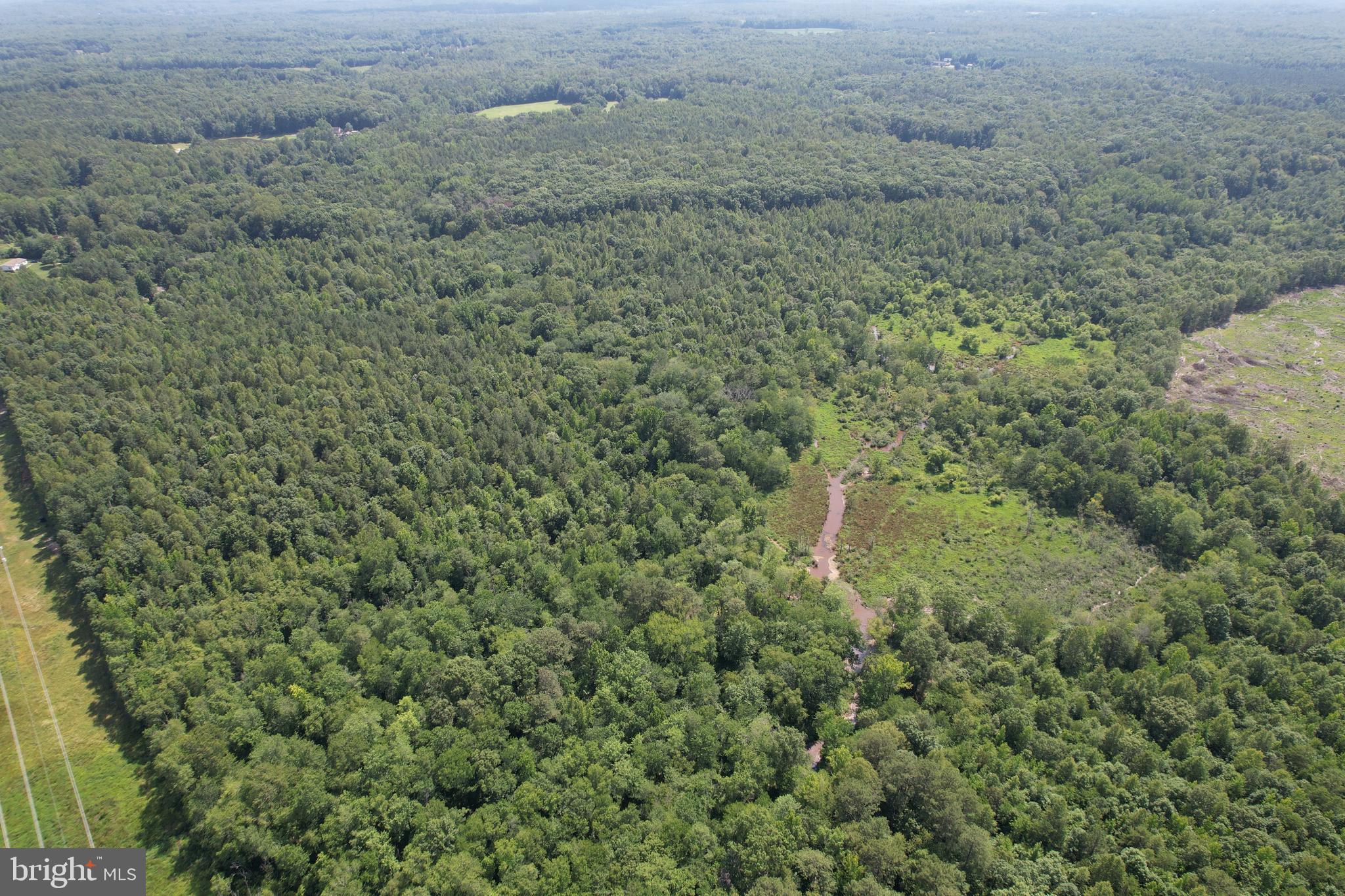 0 Countyline Church Road Woodford, VA 22580 - Photo 8 of 25 a view of a dry yard with large trees